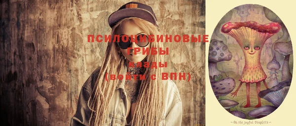 ГАЛЛЮЦИНОГЕННЫЕ ГРИБЫ Алзамай