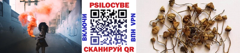 Псилоцибиновые грибы GOLDEN TEACHER Анадырь